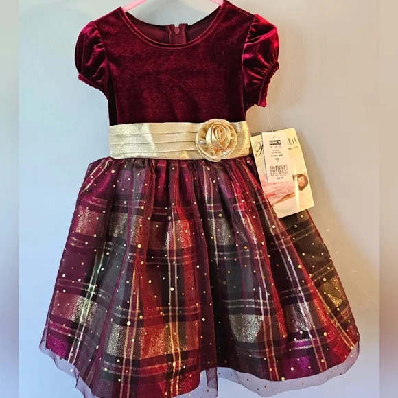 NWT-Bonnie Jean-Girl's-Dress-Size 3T-Burgundy & Gold - Picture 1 of 5
